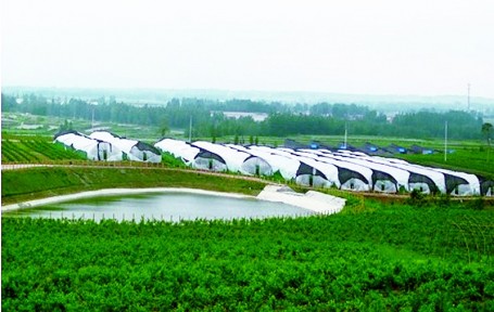 定州市被评为国家现代农业示范区