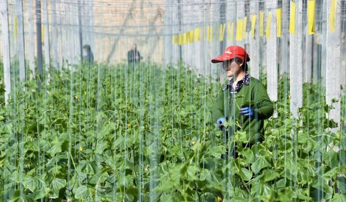 农业三分靠技术,七分靠管理