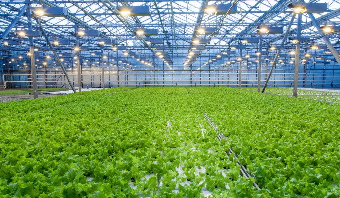 天哪,原来这就是现代农业,太震撼了!