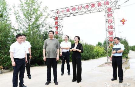 市长张才芳调研农村人居环境整治工作