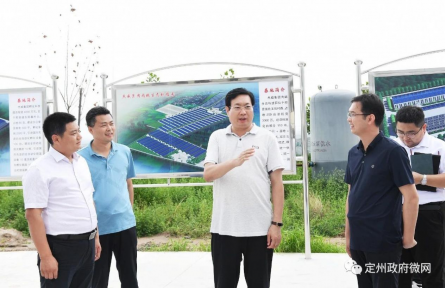 市长张才芳到邢邑镇调研