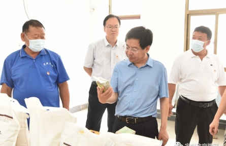 市委书记张涛到东留春乡北邵村调研