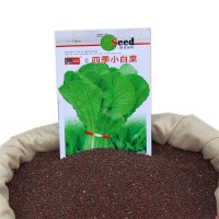 供应北京小白菜—小白菜种子