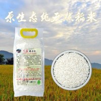 贵州从江香禾糯大米直销品质优良