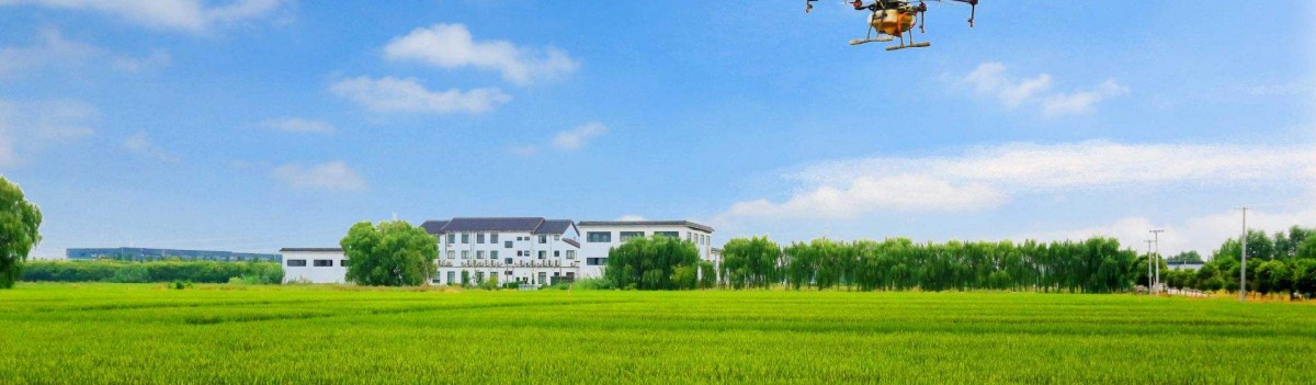 定州市扶持蔬菜产业发展办法