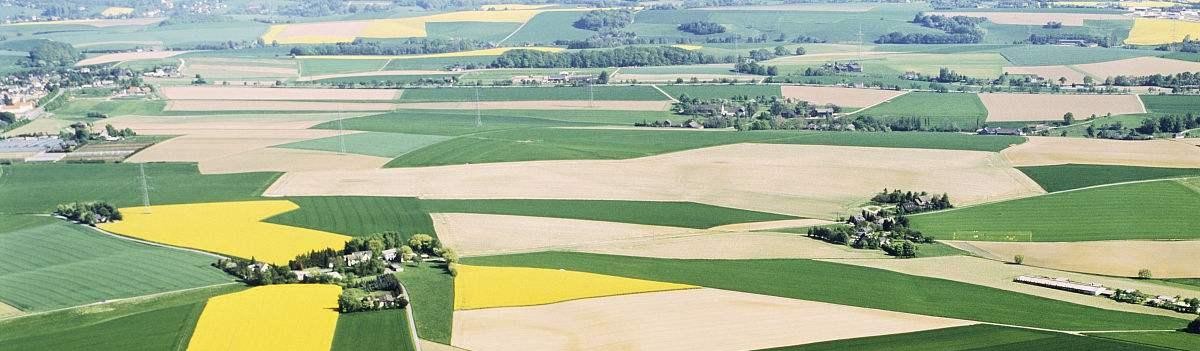 定州市被评为国家现代农业示范区