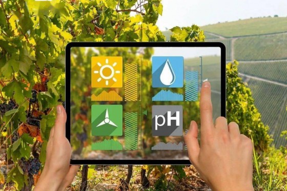 定州市扶持蔬菜产业发展办法