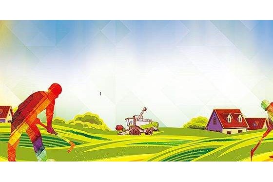 油菜种植如何科学播种安全越冬