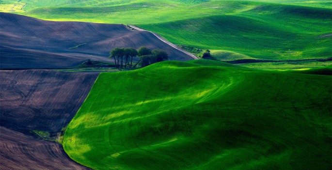 《肥料和土壤调理剂 分类与编码》农业行业标准通过审定
