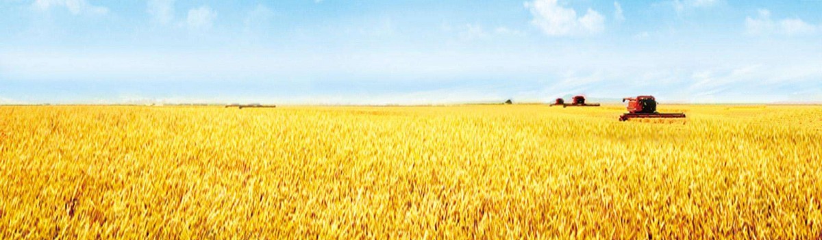 民乐：产业发展质效同升