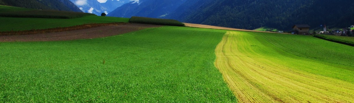 坚持党建引领 助推事业发展