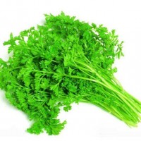 香菜
