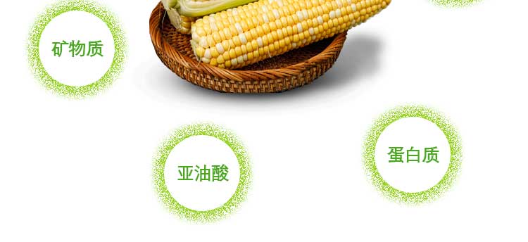 O1CN01dInTQk1EE92JPTM8I_!!2821000319