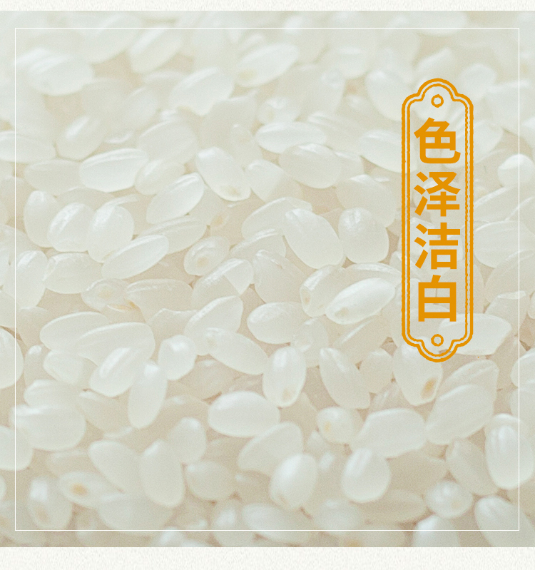 O1CN015iVylA2EtpBE2Tc9Z_!!2208529328803