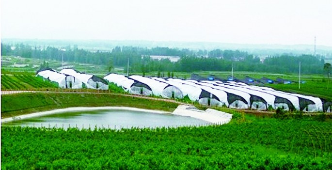 河北定州国家农业科技园区 总 体 规 划